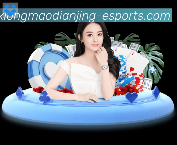 未来规划